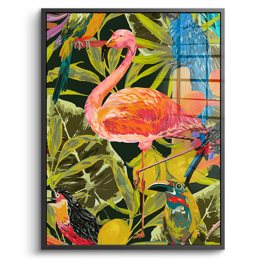 Dschungelflamingo - Acrylglas