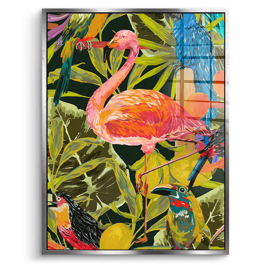 Dschungelflamingo - Acrylglas