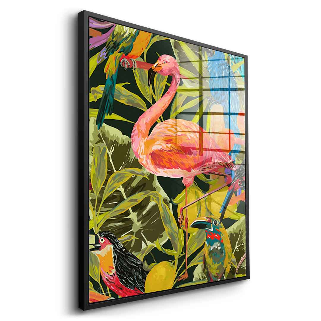 Dschungelflamingo - Acrylglas