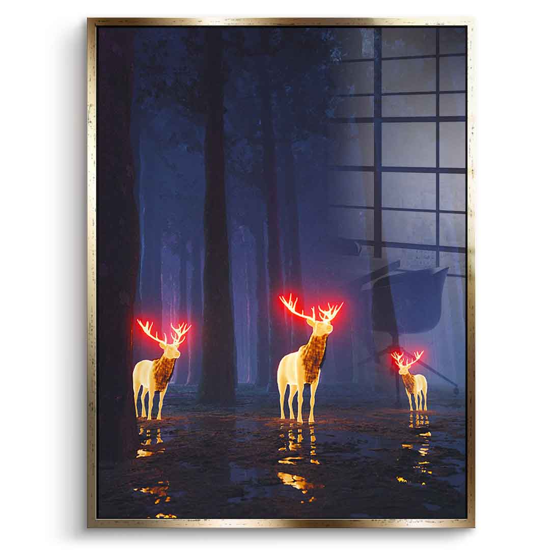 Forest Of Bliss - Acrylglas