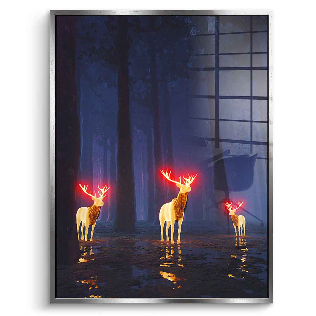 Forest Of Bliss - Acrylglas