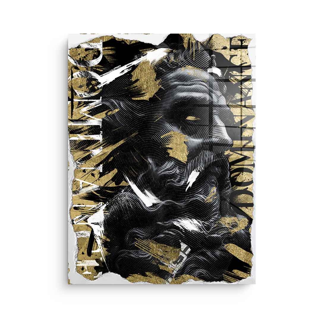 Luxury portrait - acrylic glass 3x
