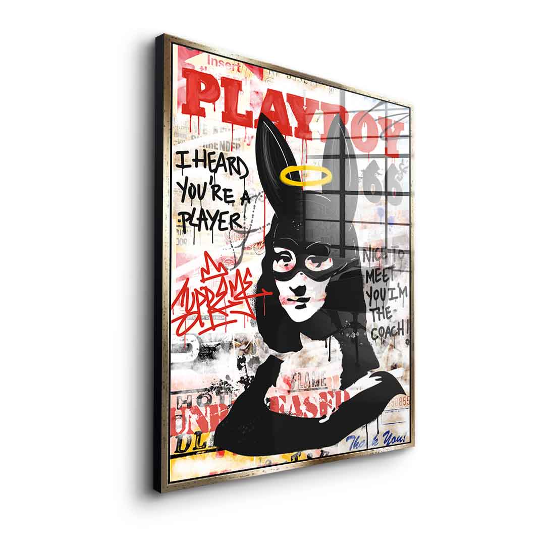 Money Lisa - acrylic glass