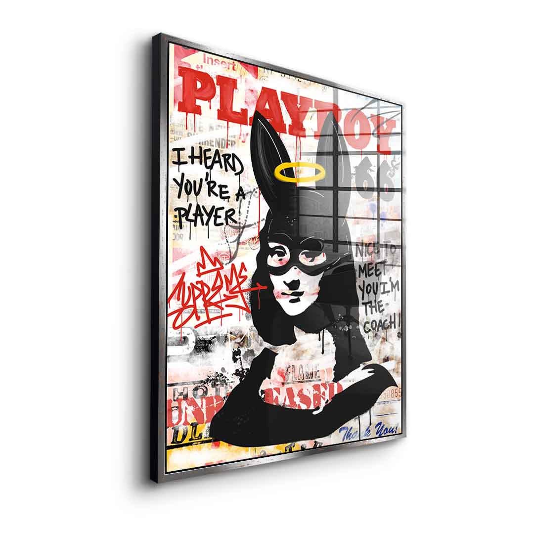 Money Lisa - acrylic glass