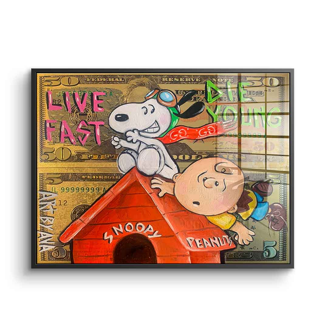 Flying Peanuts - Acrylglas