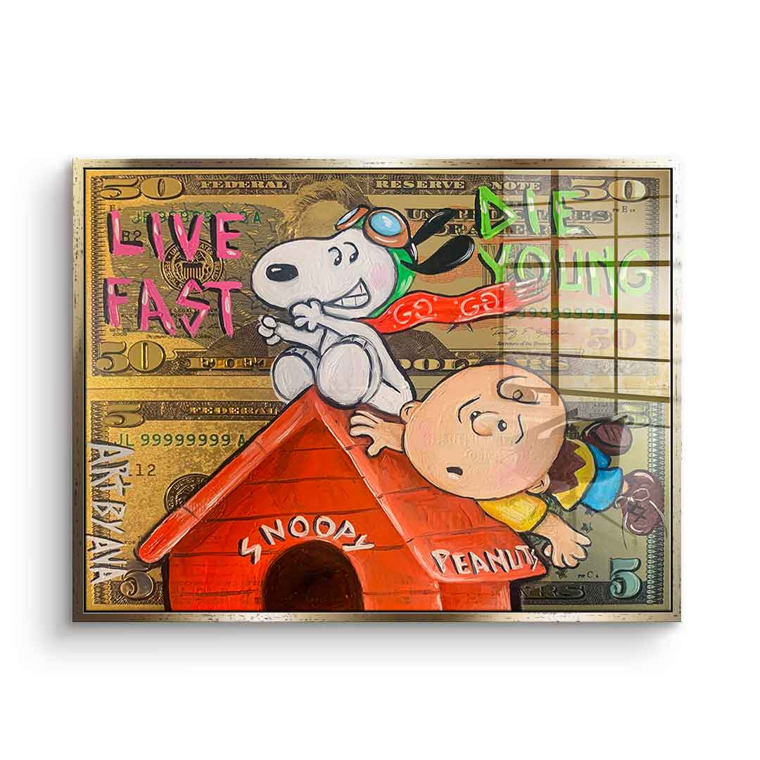 Flying Peanuts - Acrylglas