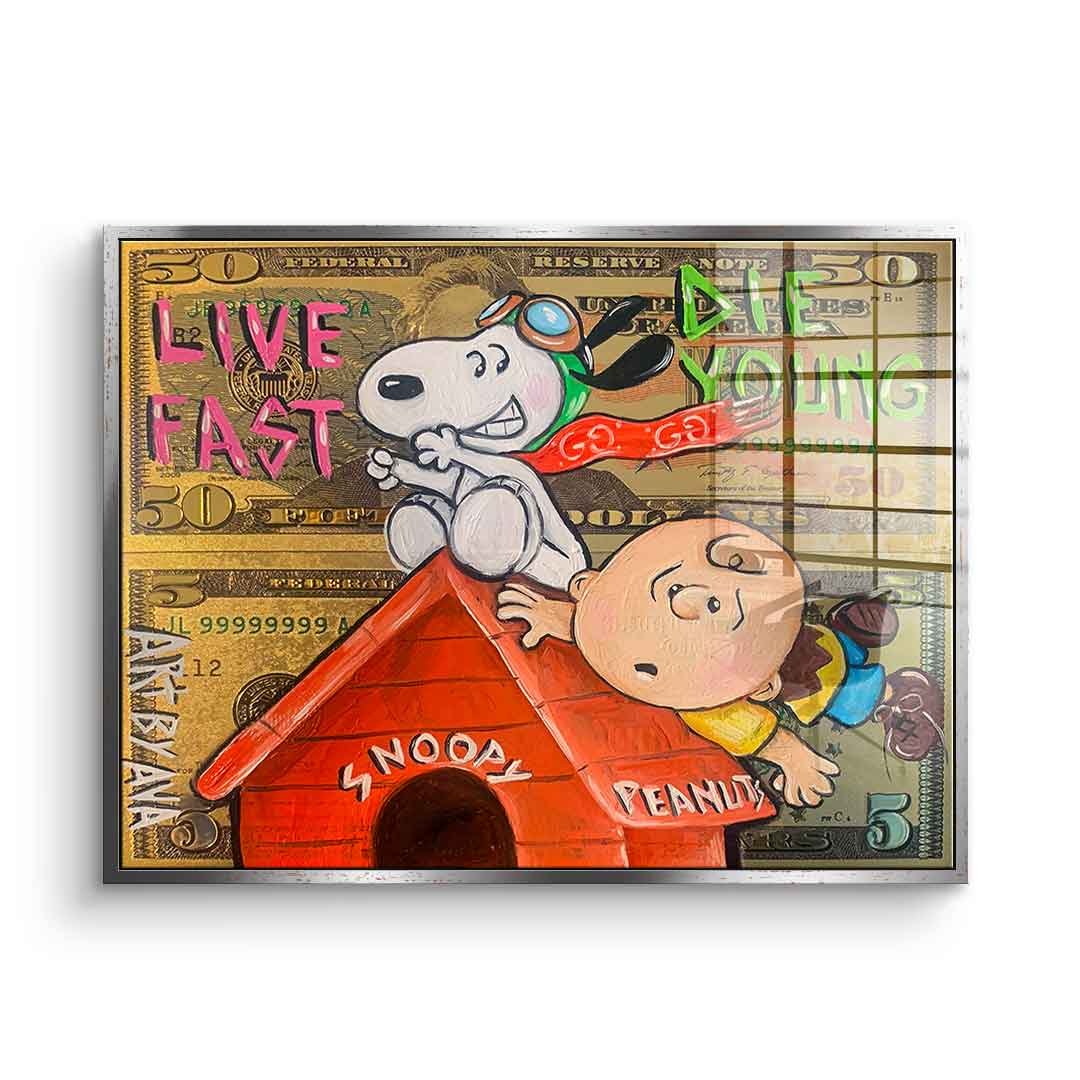 Flying Peanuts - Acrylglas
