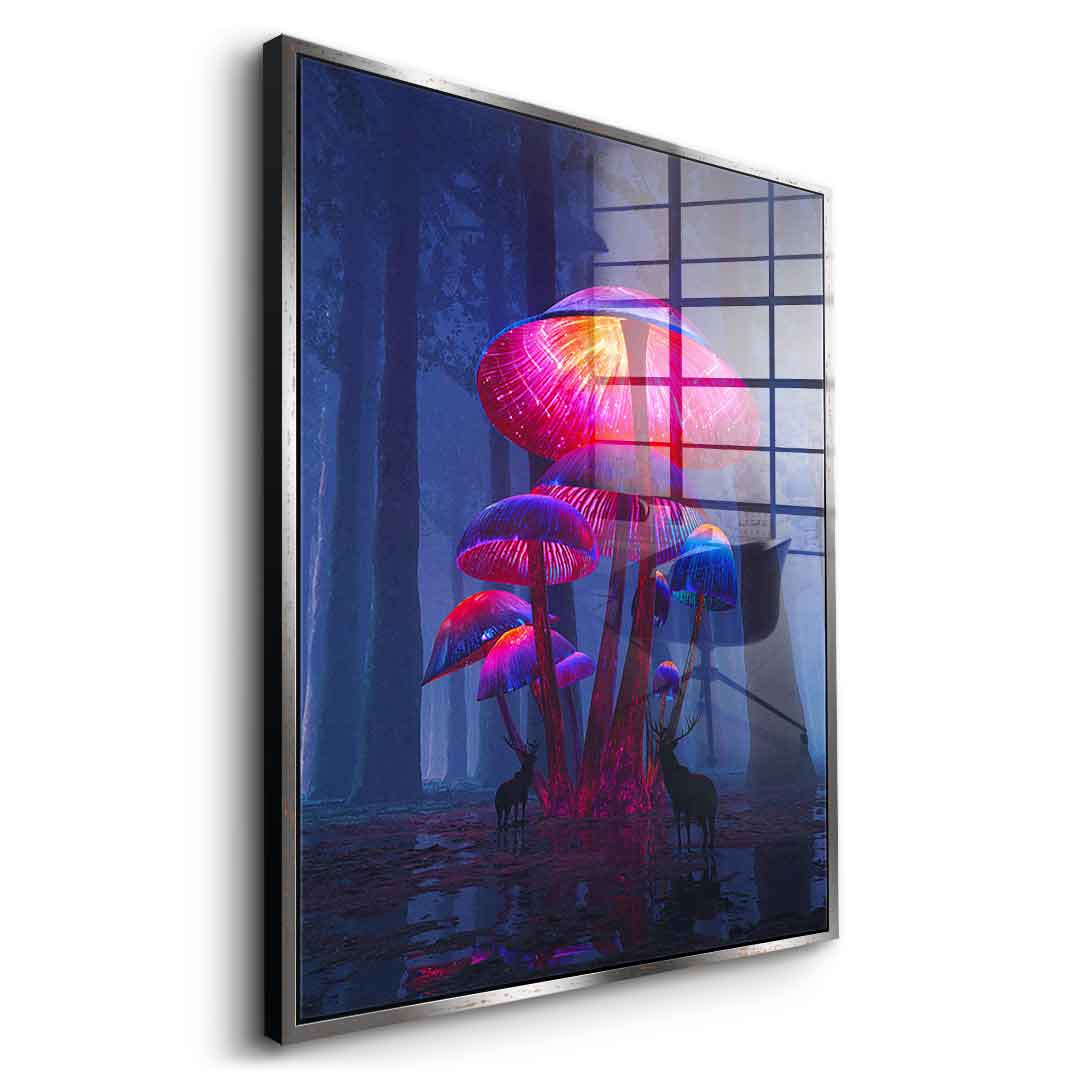 The Magic Shrooms - Acrylglas