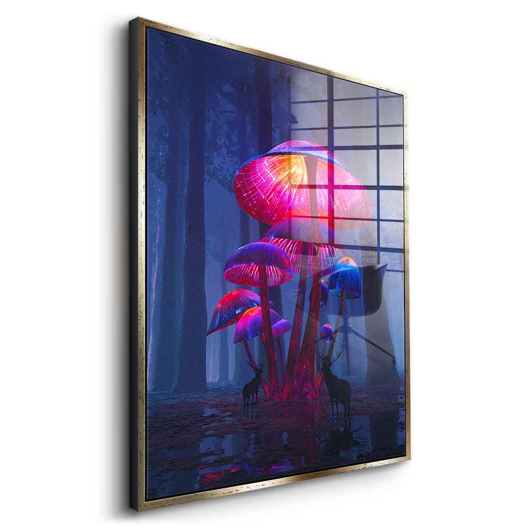 The Magic Shrooms - Acrylglas