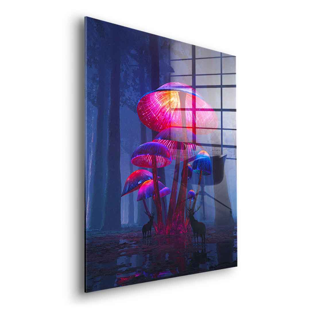 The Magic Shrooms - Acrylglas