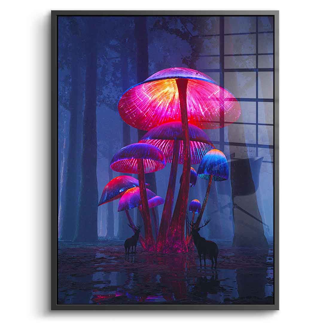 The Magic Shrooms - Acrylglas