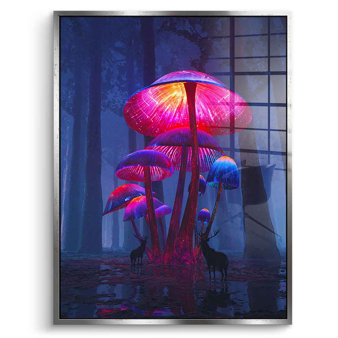 The Magic Shrooms - Acrylglas