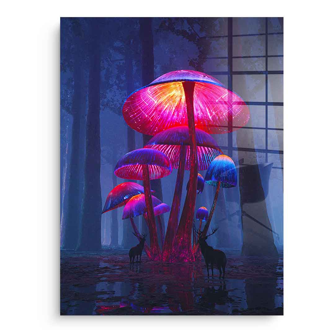 The Magic Shrooms - Acrylglas