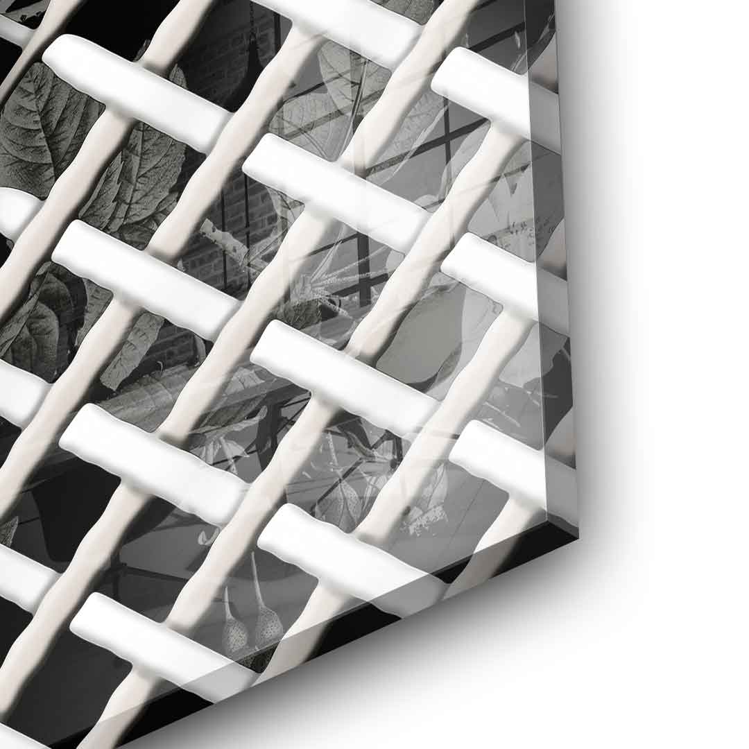 Wicker Skull - acrylic glass