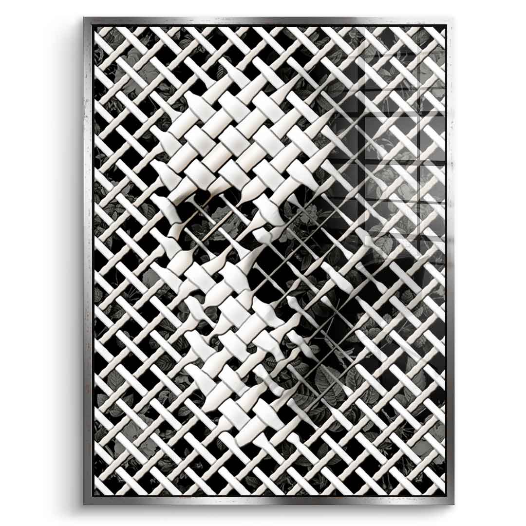 Wicker Skull - acrylic glass
