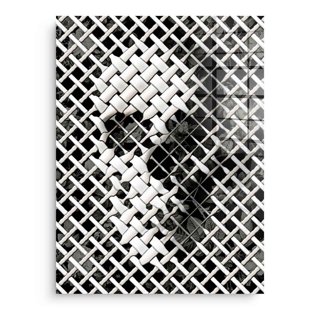 Wicker Skull - acrylic glass