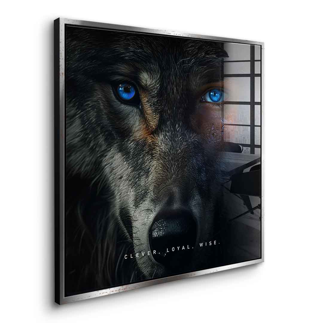 Wolf Fusion - Quadrat Edition - Acrylglas