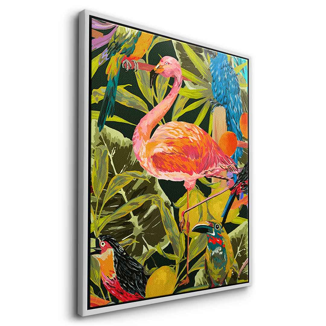 Dschungelflamingo