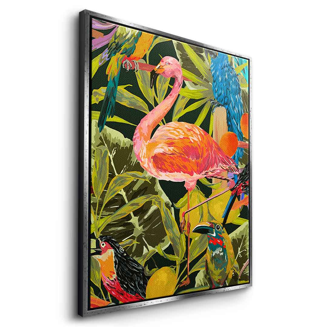 Dschungelflamingo