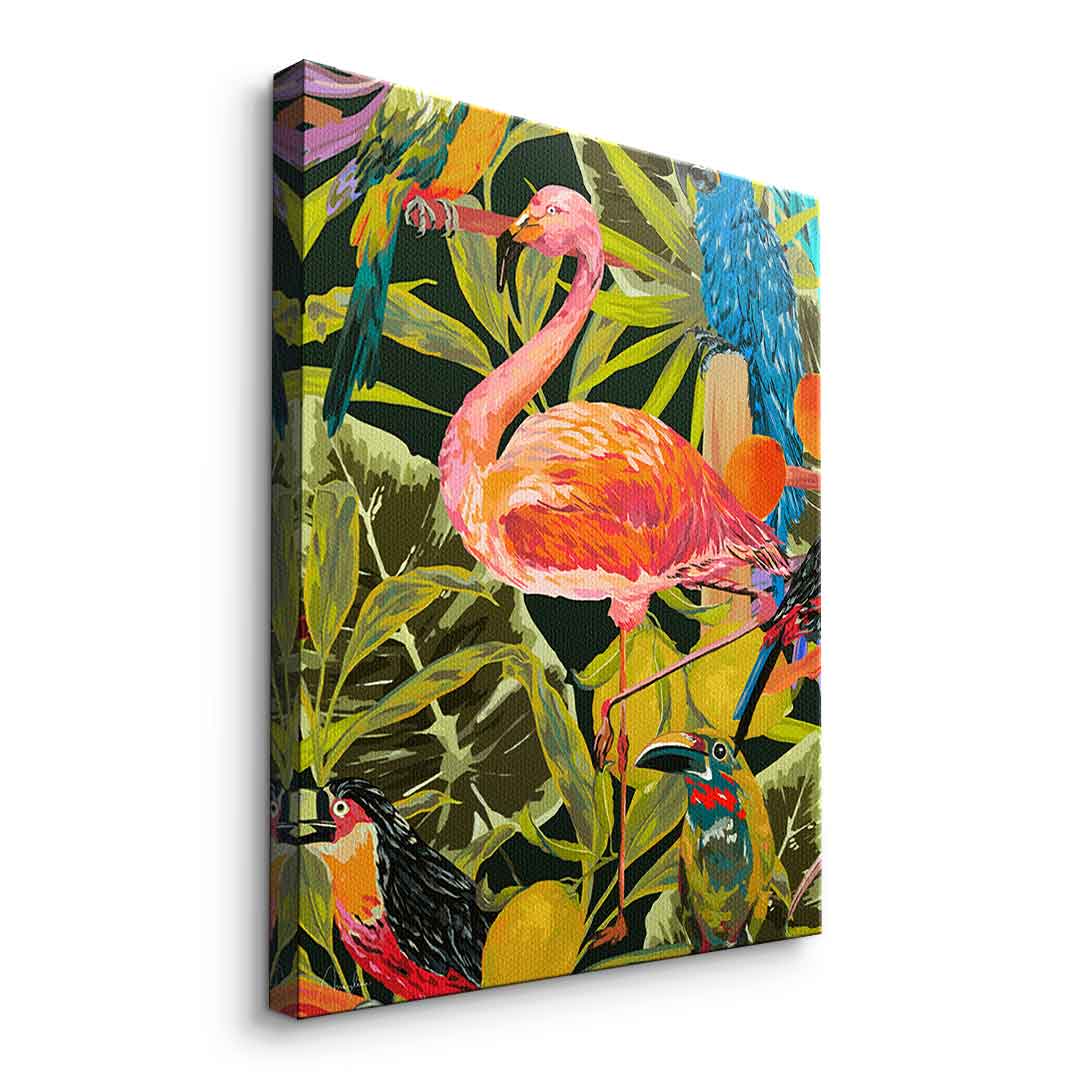 Dschungelflamingo