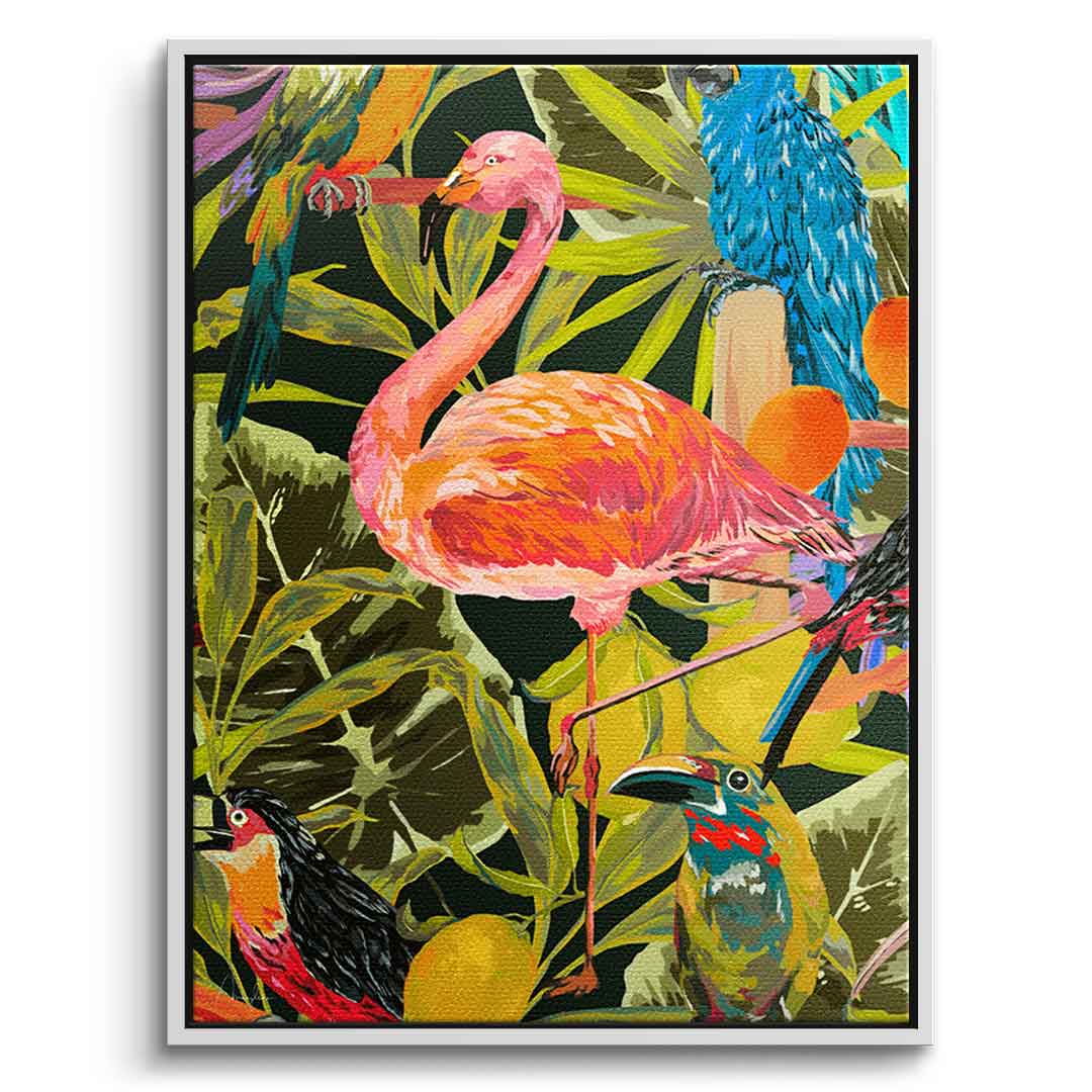 Dschungelflamingo