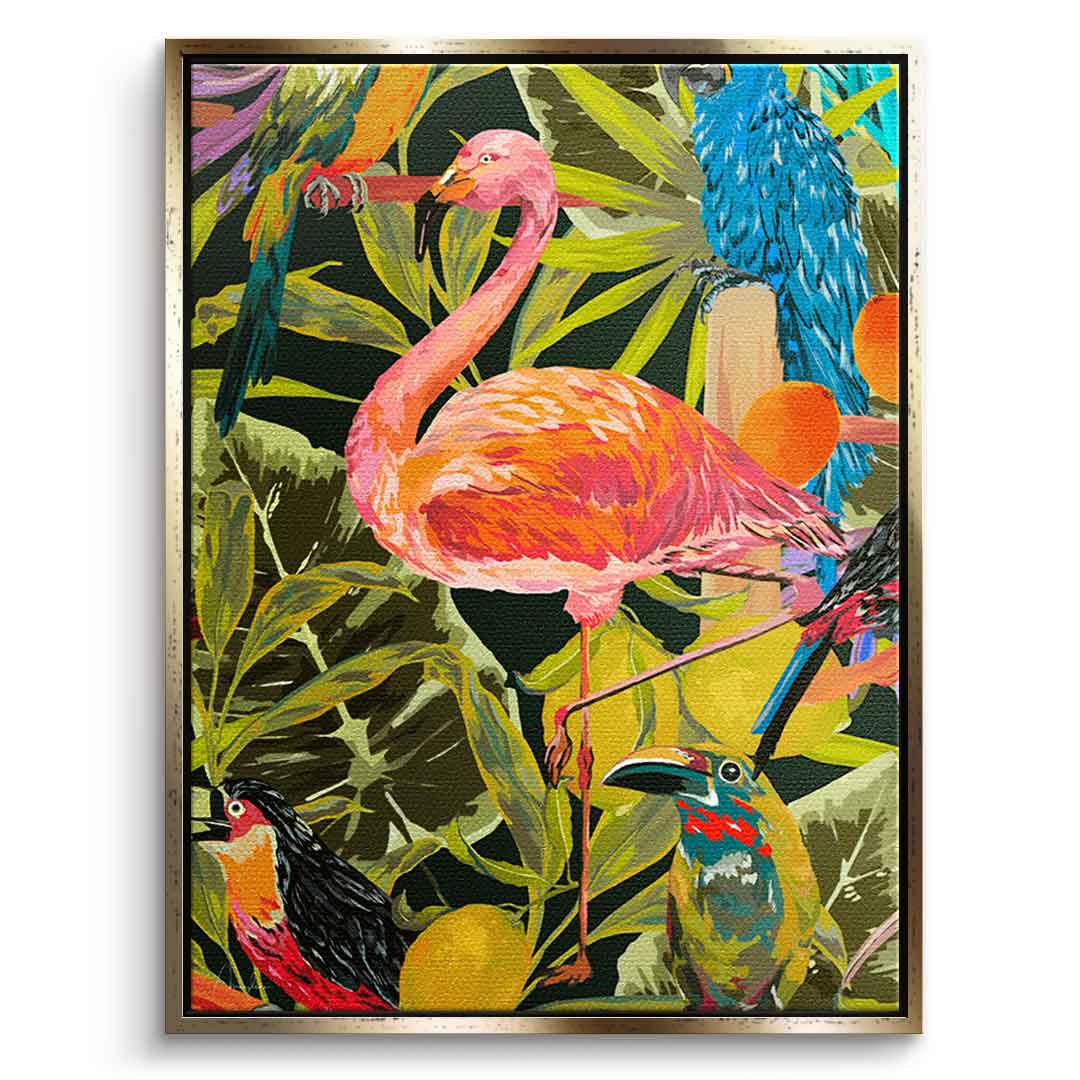 Dschungelflamingo