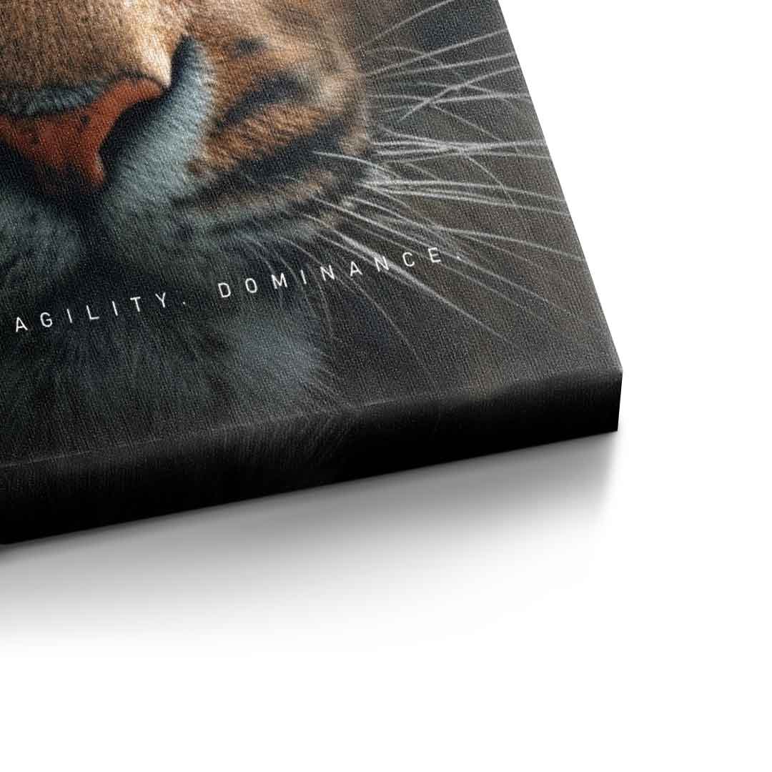 Tiger merger