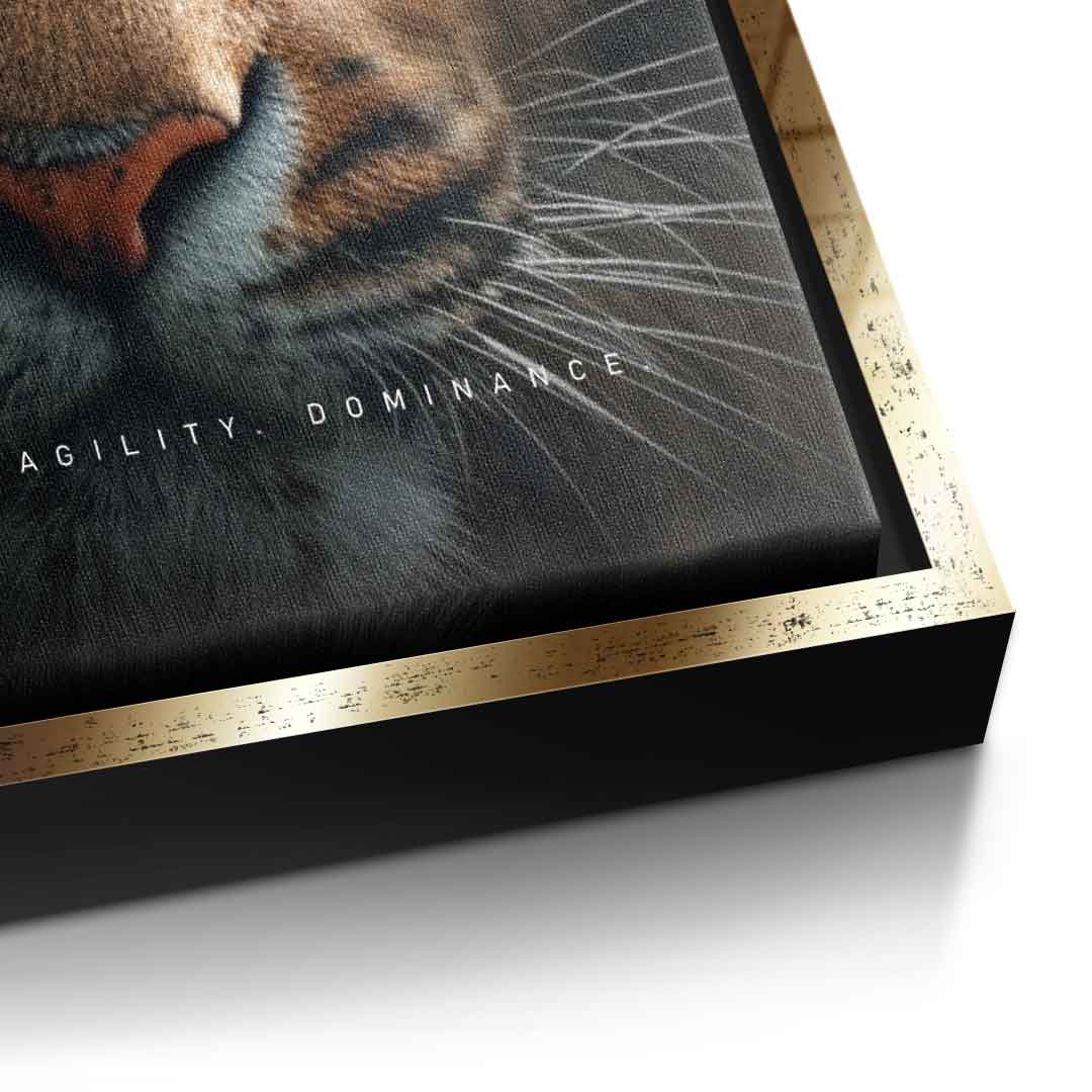 Tiger merger