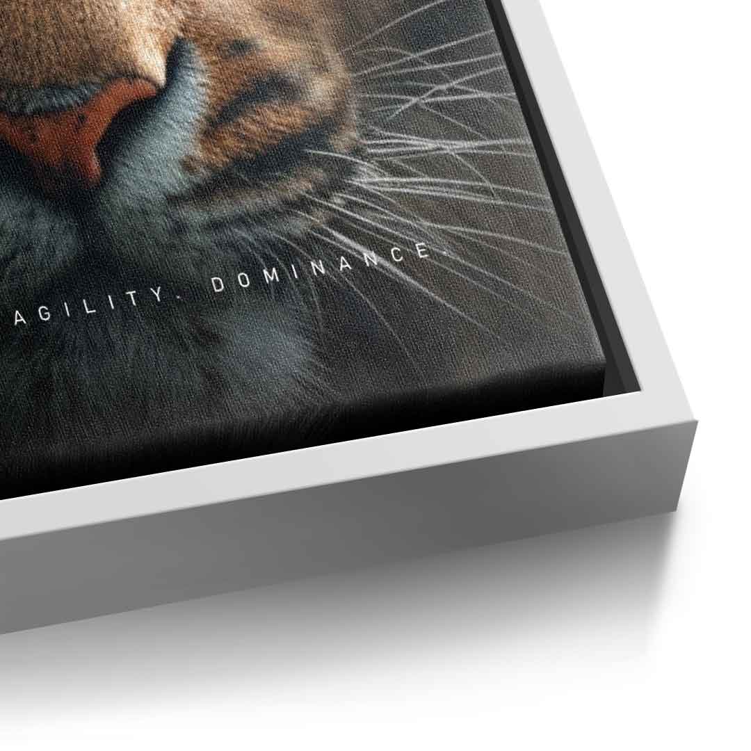 Tiger merger