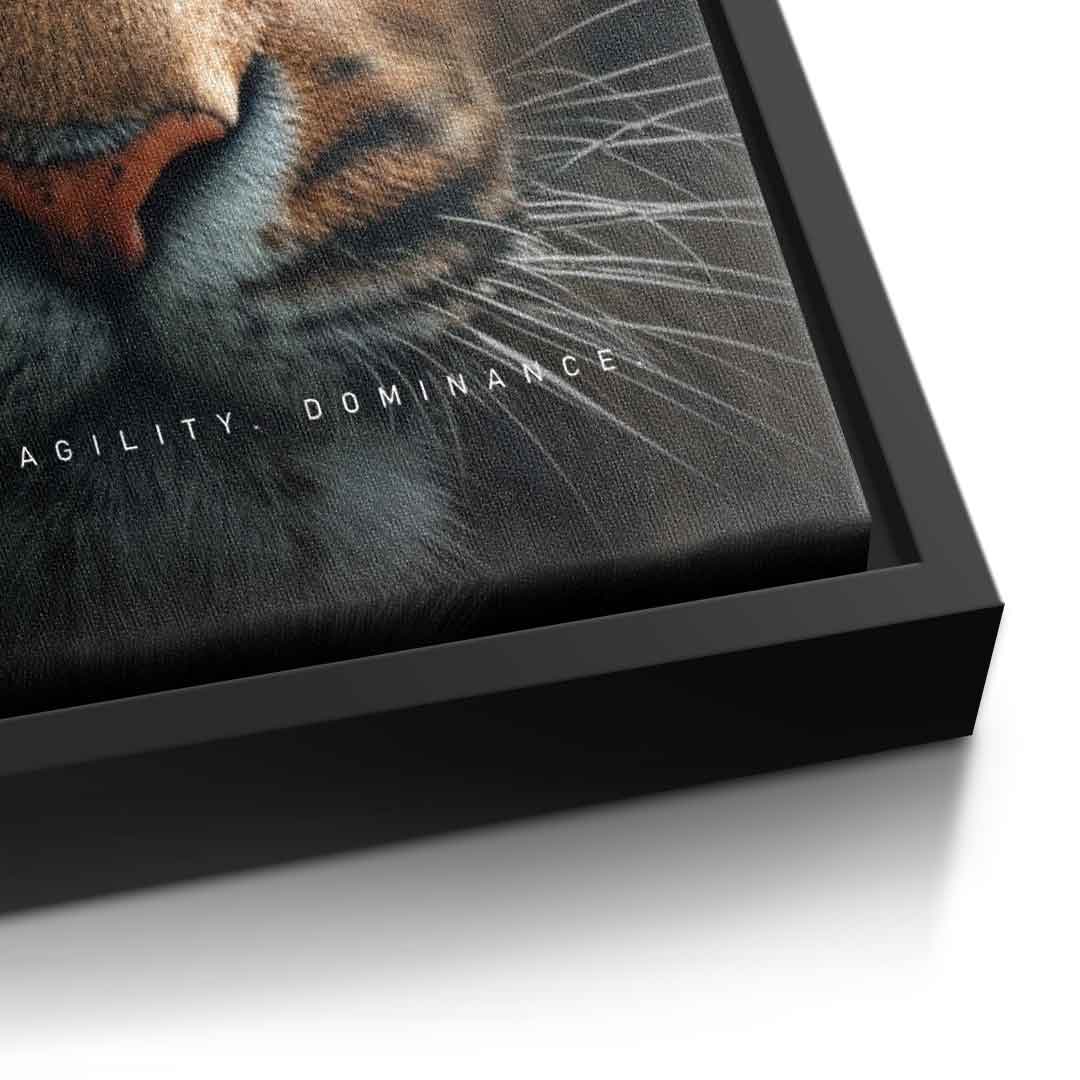 Tiger merger