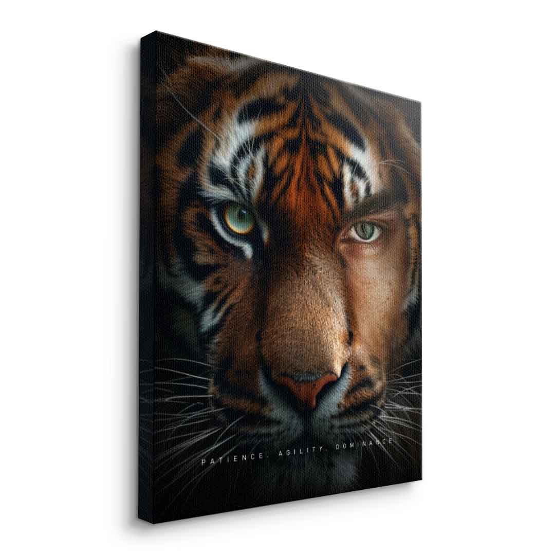 Tiger merger
