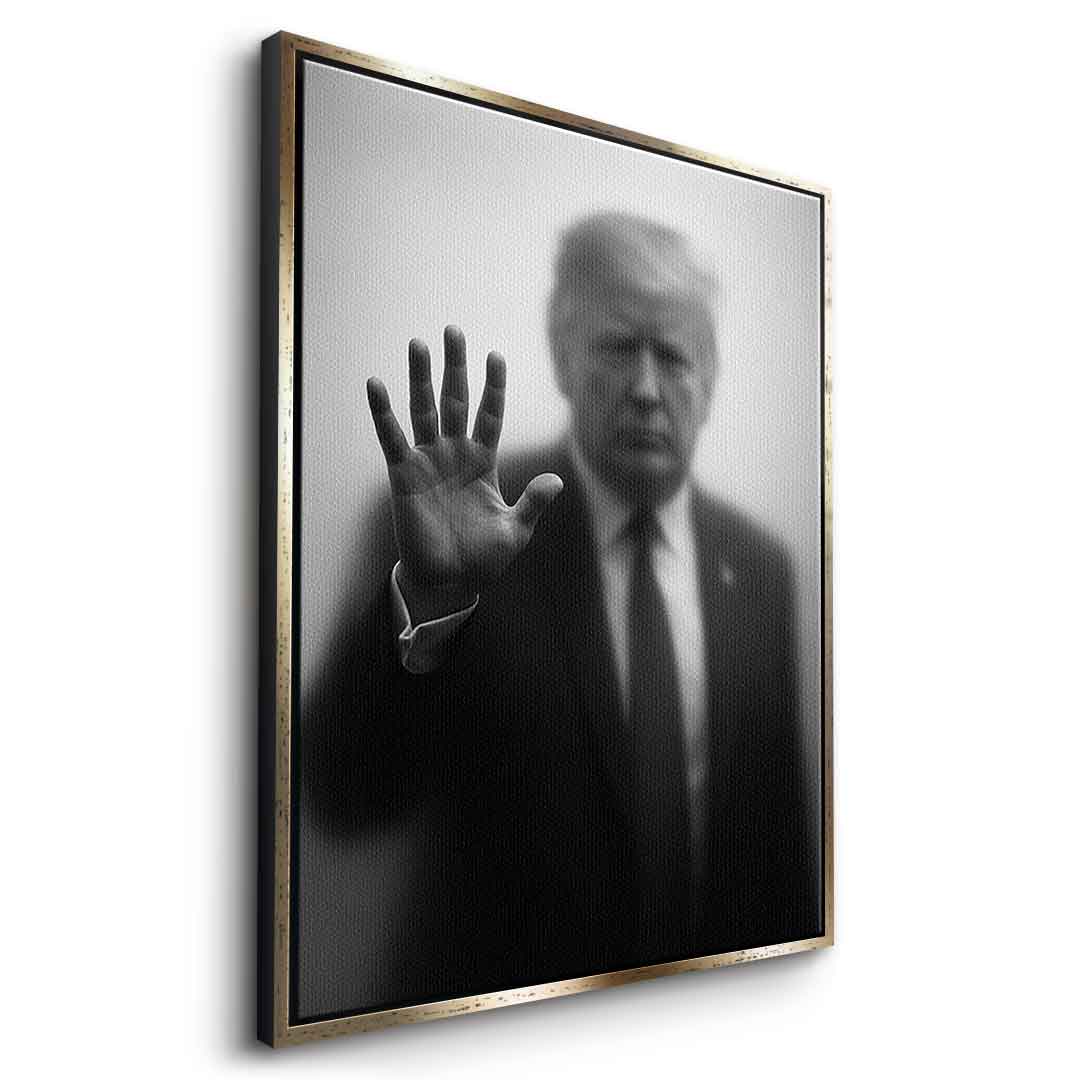 Trump's Silhouette