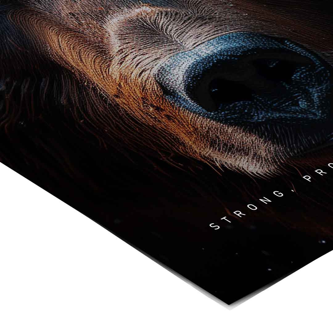 Bear Fusion - poster