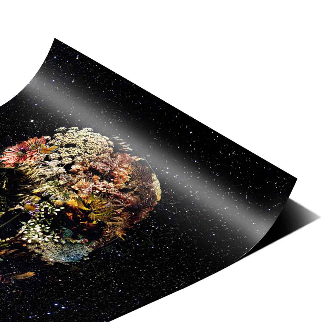 Black Flower Skull - poster