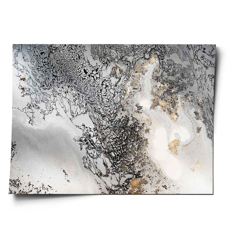 Delicate poster