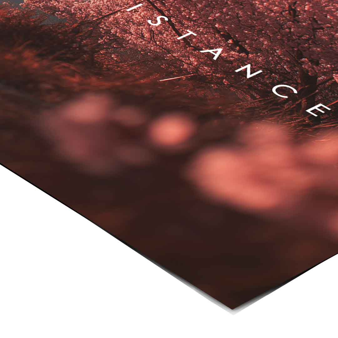 Discipline over Distance - Poster