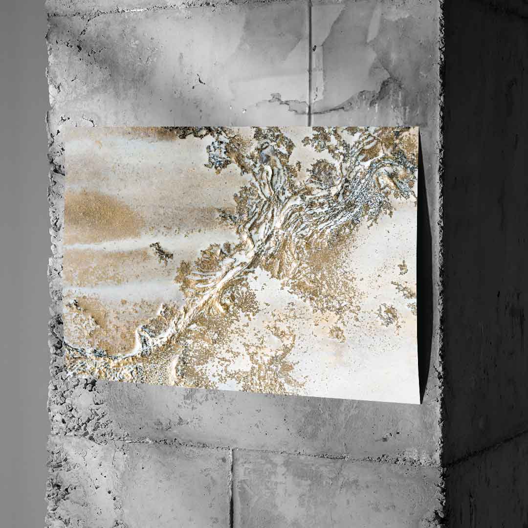 Developed poster