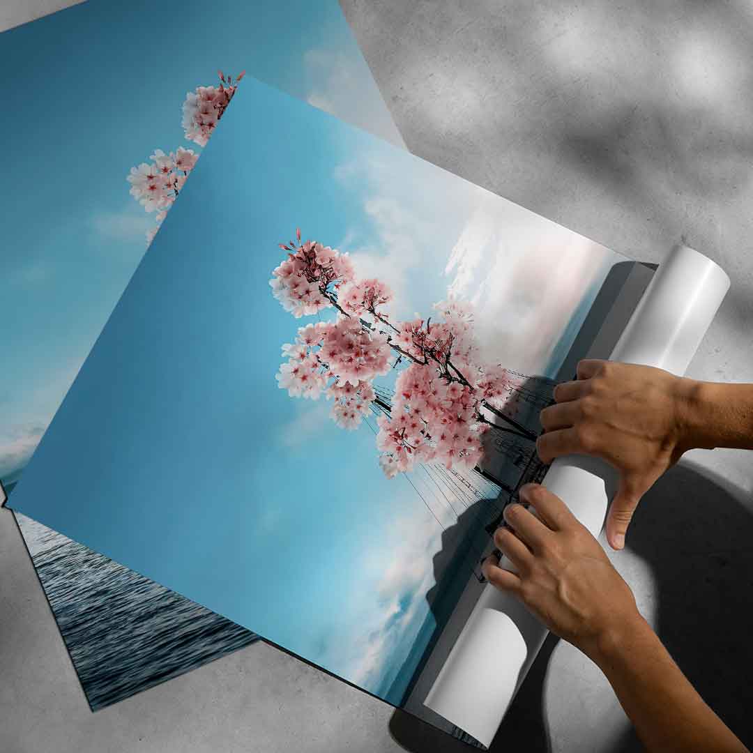 Flowerboat - Poster