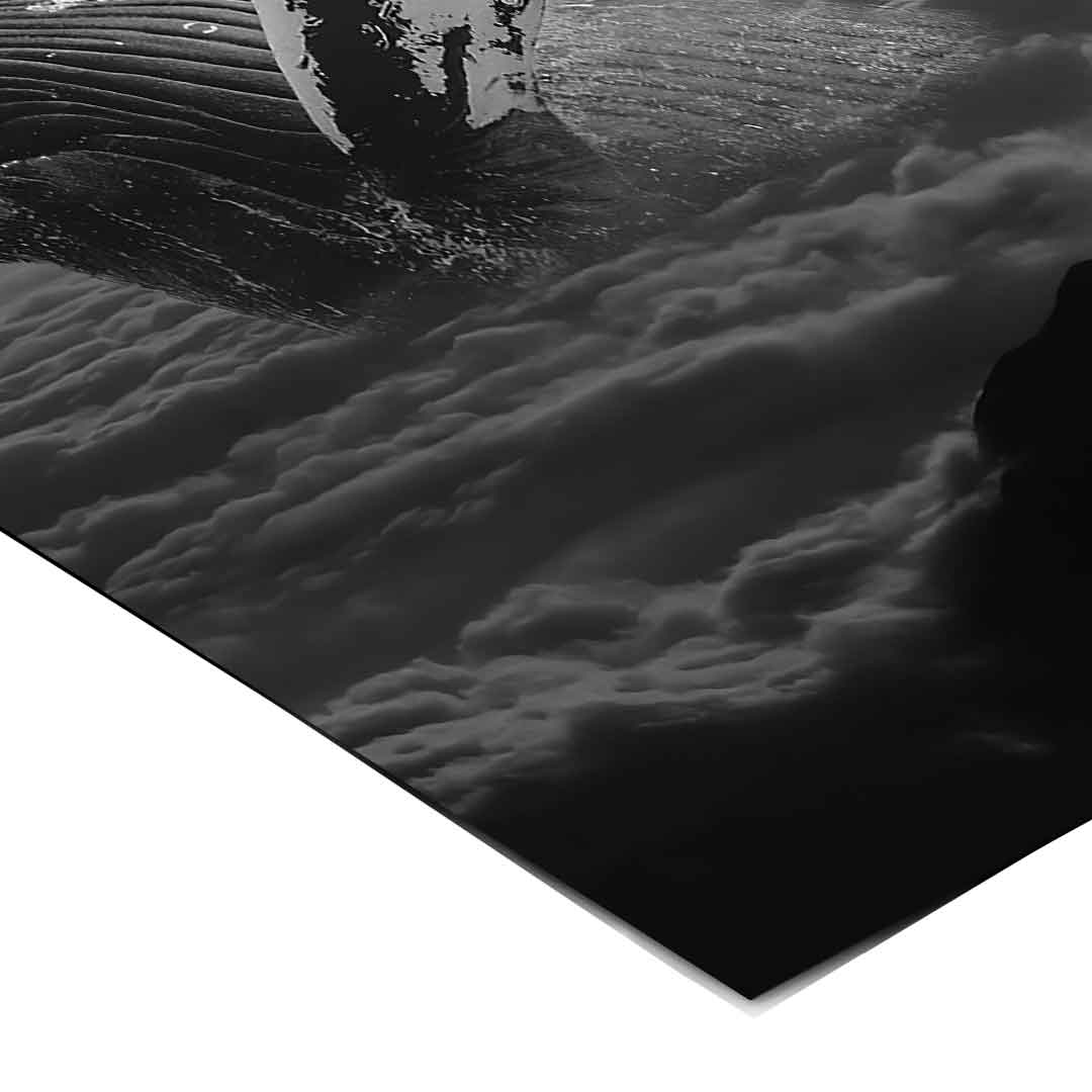 Freedom whale - poster