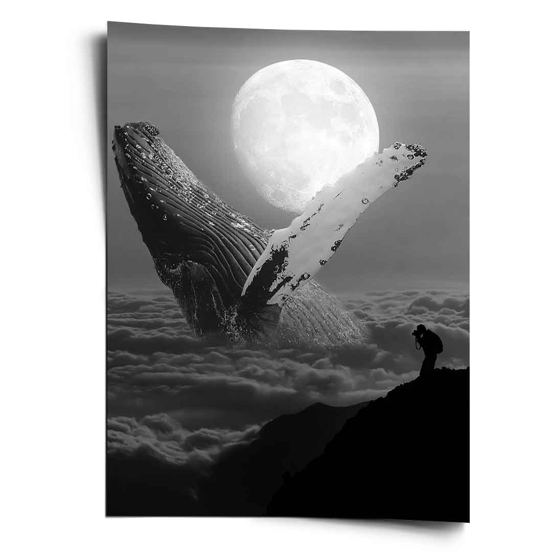 Freedom whale - poster