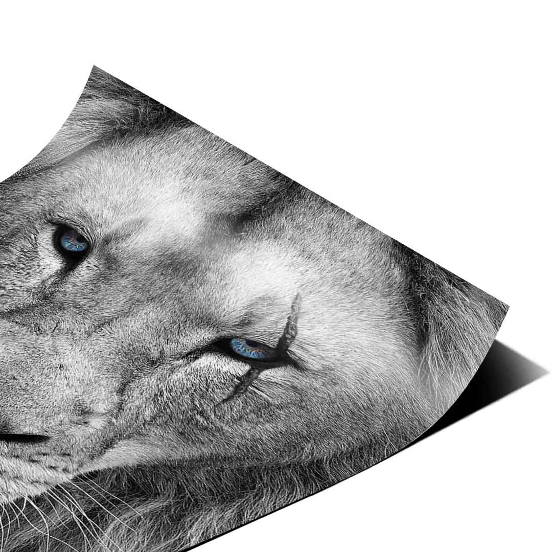 Hungry Face - poster