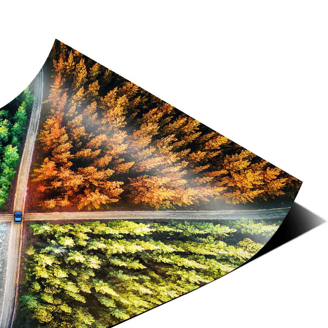 Jahrezeiten Zyklus - Poster