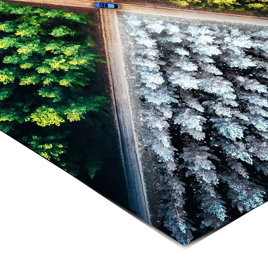 Jahrezeiten Zyklus - Poster