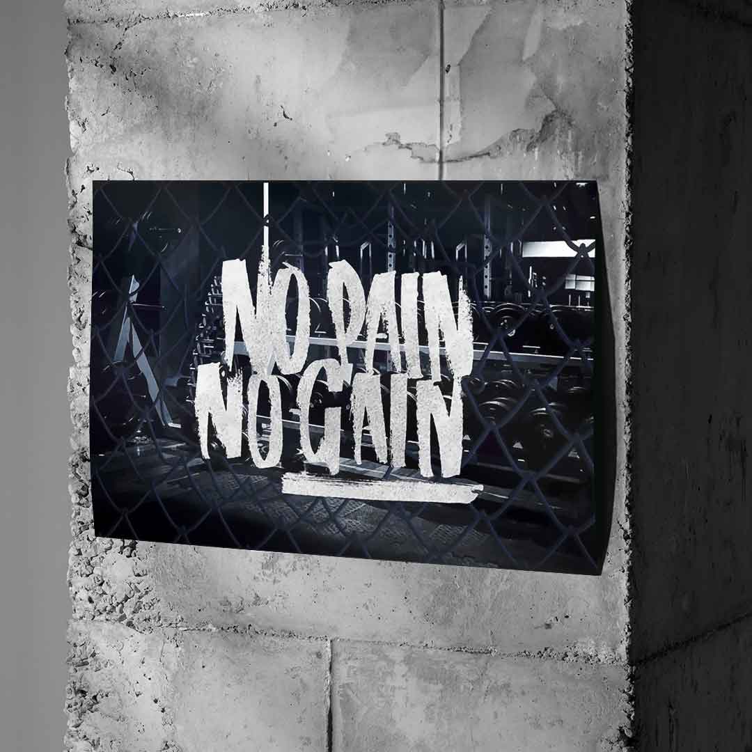 No Pain no gain - poster