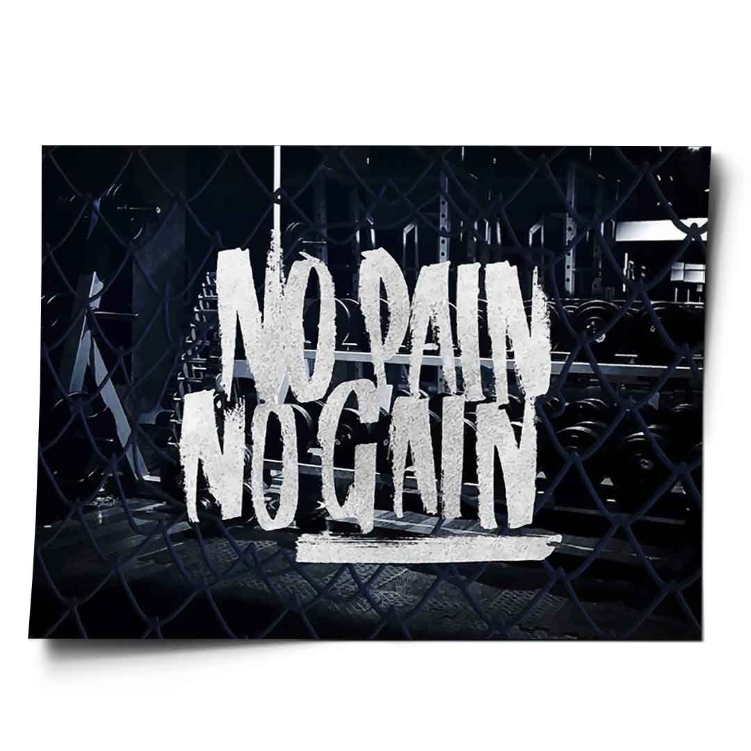 No Pain no gain - poster
