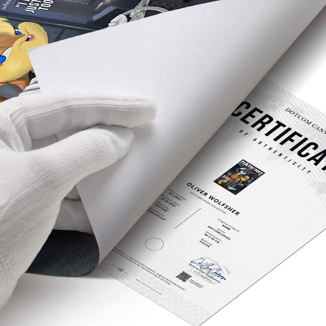 Playbunny - poster