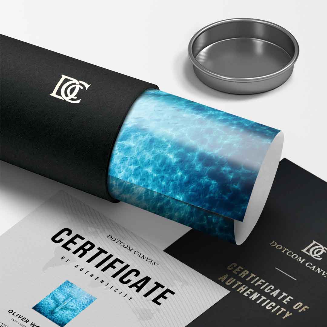 Underwater plane - poster