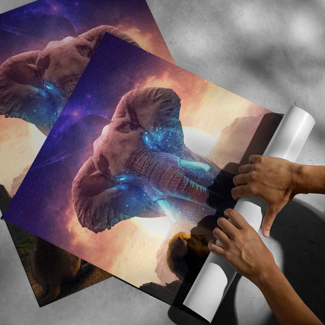 True King - poster