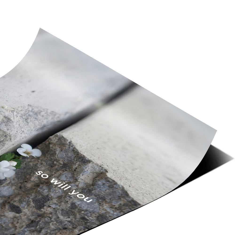 DOTCOMCANVAS Life finds a way Poster Detailansicht Nahaufnahme