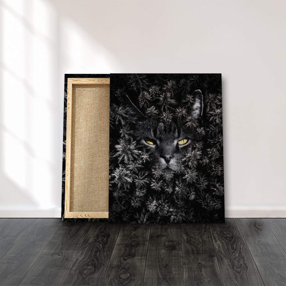 Catslife